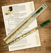 Load image into Gallery viewer, Waltons Irish Penny Whistle | Key of C or D