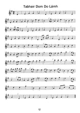 Load image into Gallery viewer, 30 Irish Tunes For Easy Recorder