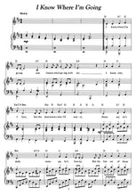Load image into Gallery viewer, Great Irish Songs & Ballads (Piano, Vocal, Guitar) | Vol 1