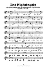 Load image into Gallery viewer, Ireland the Songs | Vol 2