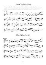 Load image into Gallery viewer, Learning Guide To The Irish Fiddle Book / Book & CD