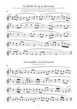 Load image into Gallery viewer, 110 Ireland's Best Slow Airs Book / Book & CD