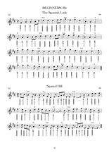 Load image into Gallery viewer, 110 Ireland's Best Tin Whistle Tunes Vol 1 Book / Book & CD
