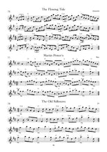 Load image into Gallery viewer, 110 Ireland's Best Tin Whistle Tunes Vol 1 Book / Book & CD