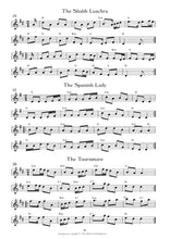 Load image into Gallery viewer, 110 Irelands Polkas and Slides Book