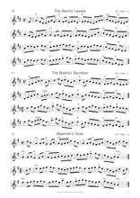 Load image into Gallery viewer, 110 Best Irish Session Tunes Book / Book & CD Vol 3