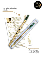 Load image into Gallery viewer, Waltons Irish Penny Whistle | Key of C or D
